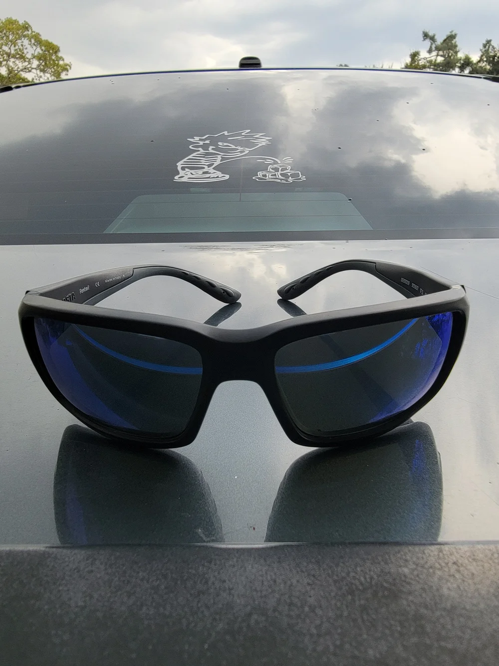 Costa Sunglasses